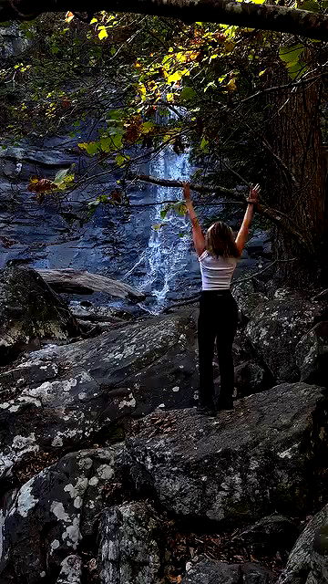 taylor.creeden taylor.creeden archive video