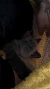 b.zohar Altpins Profile Picture