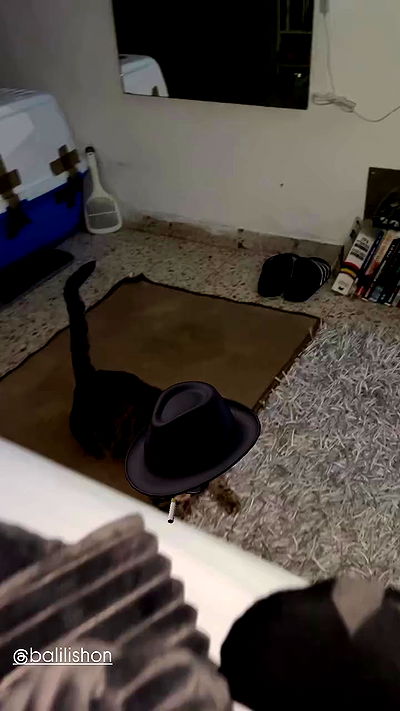 feelbetterinmysweater feelbetterinmysweater archive video