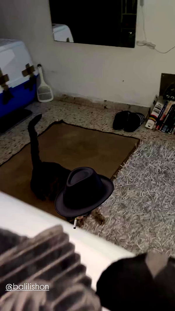 feelbetterinmysweater archive video preview