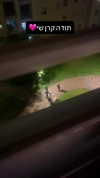 dante_yangpa Altpins Profile Picture