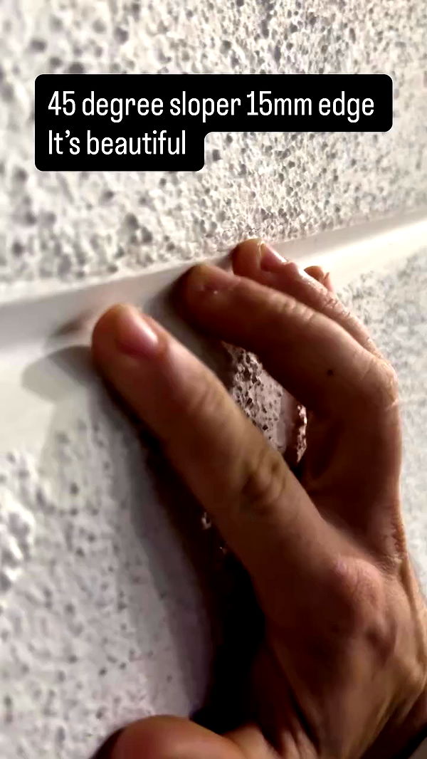 swholeanimal archive video preview