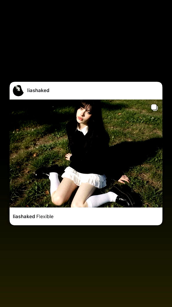 liashaked archive video preview