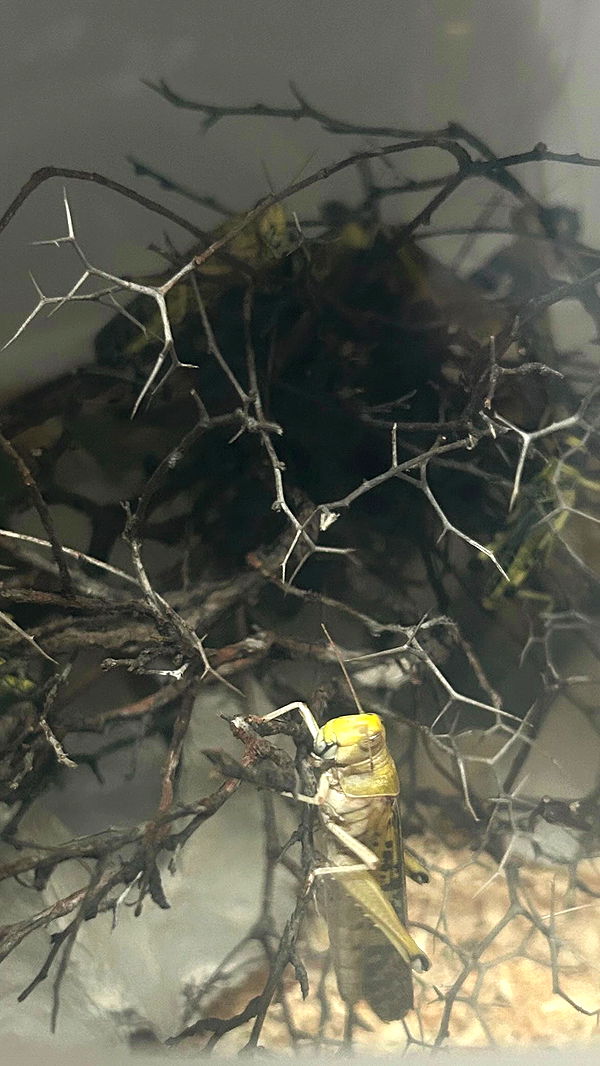 feelbetterinmysweater archive video preview