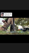 strawberryshanz Altpins Profile Picture