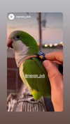 jaroslava_klavir Altpins Profile Picture