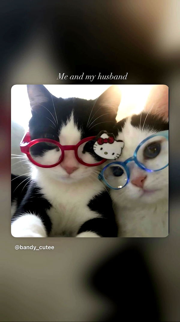 hellokittyangel666 archive video preview