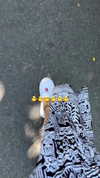 dina_shrago Altpins Profile Picture