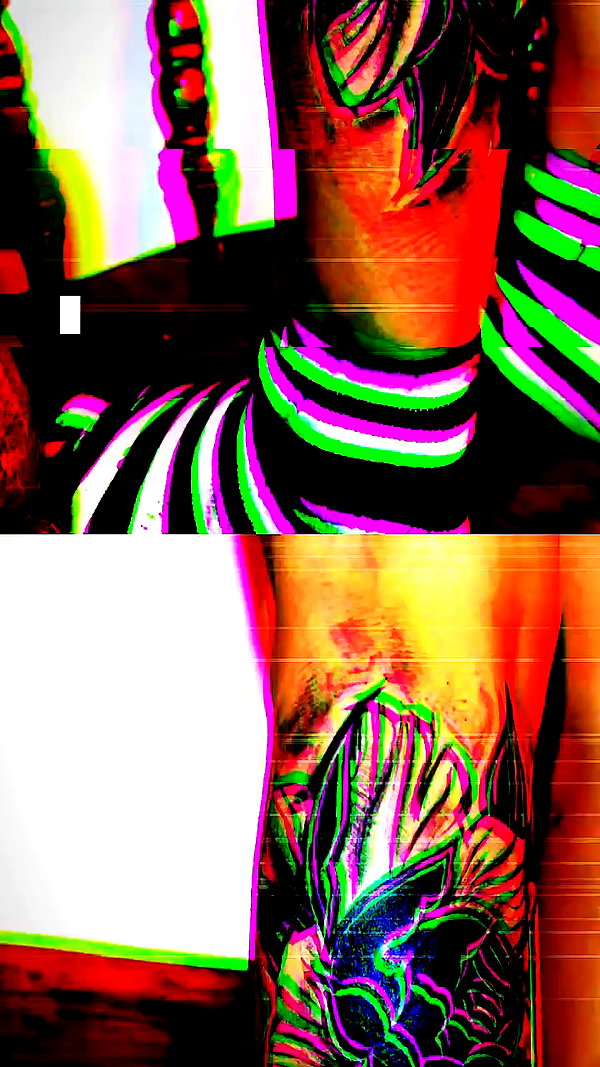 venecatattoo archive video preview