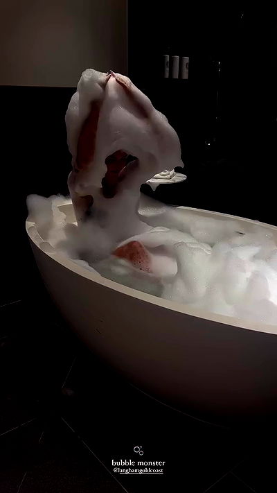 taylor.creeden taylor.creeden archive video