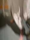 realcamillaara Altpins Profile Picture