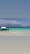 martinagiiuliani Altpins Profile Picture