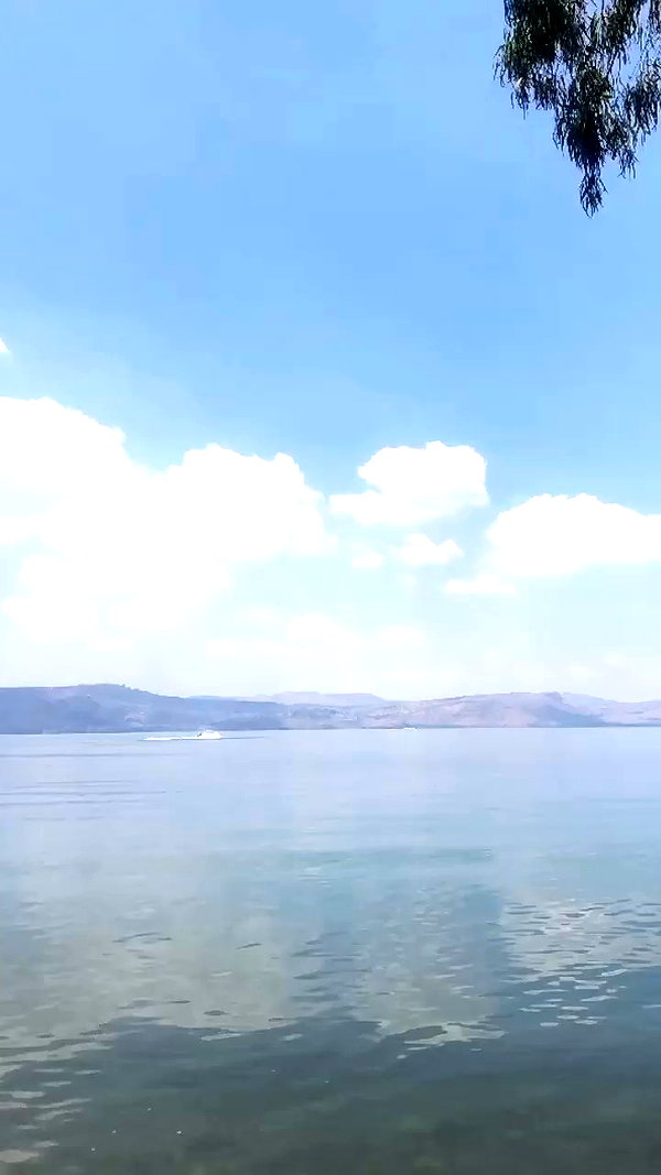 _.shelichka._ archive video preview