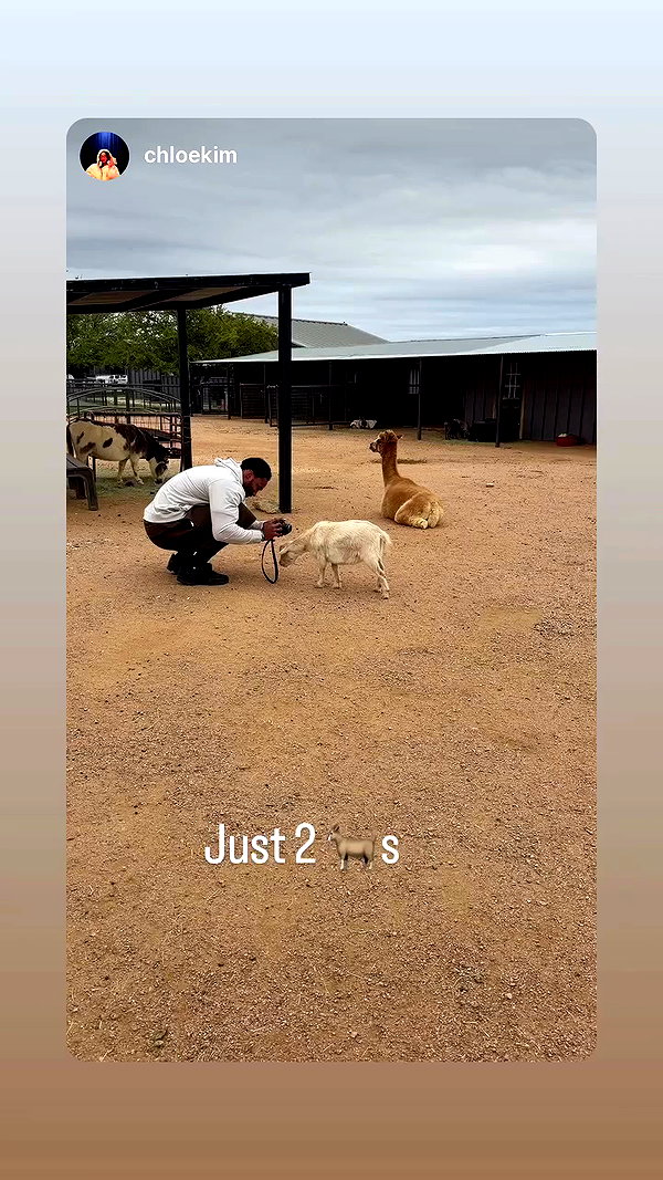 gwenniehughes archive video preview
