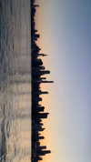 elsgatti Altpins Profile Picture