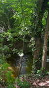 yasminhilde_ Altpins Profile Picture