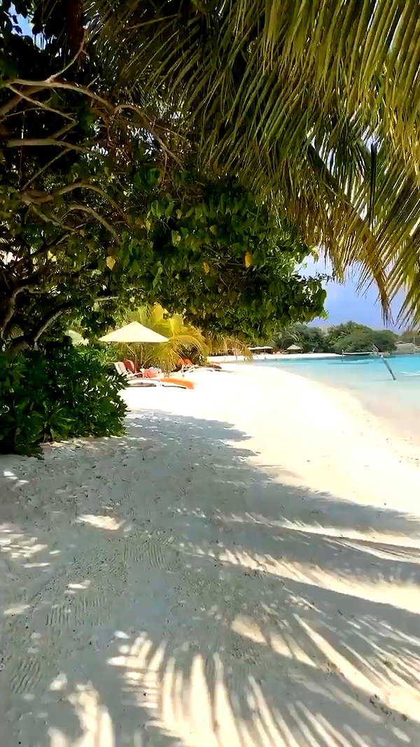 sullivang_ archive video preview