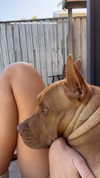 olivia.mathers Altpins Profile Picture
