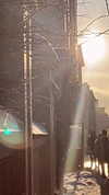 milena_milachich Altpins Profile Picture