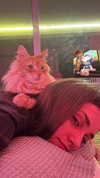 littlemiauwu Altpins Profile Picture