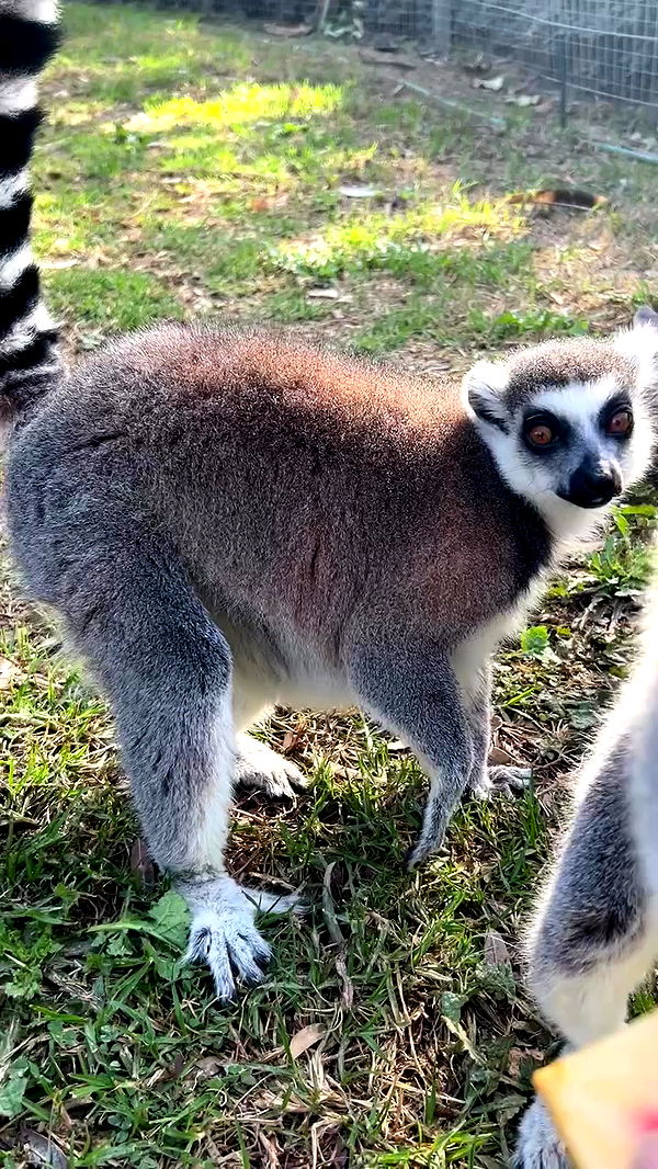 feelbetterinmysweater archive video preview