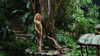 nicolekidman Altpins Profile Picture