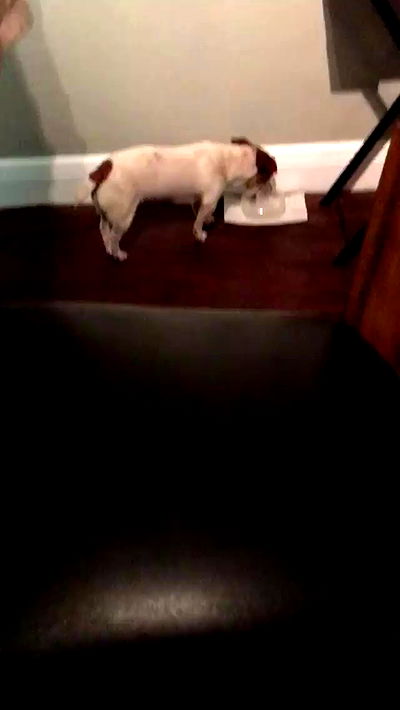 iluvmeww iluvmeww archive video