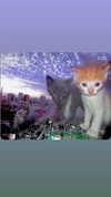 babynympho_archive Altpins Profile Picture
