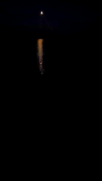 taylor.creeden taylor.creeden archive video