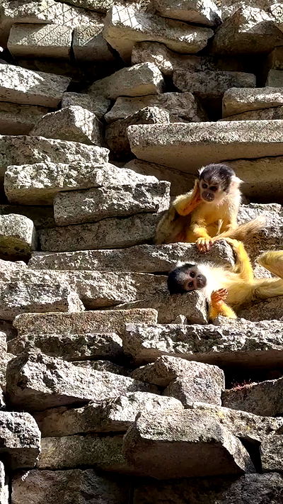 taylor.creeden taylor.creeden archive video