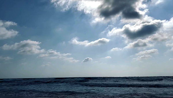noa_zemlyanski archive video preview