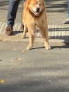 biancanataliie Altpins Profile Picture