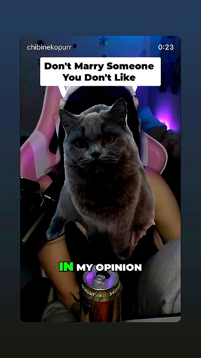 chibinekopurr chibinekopurr archive video