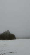 merveystar Altpins Profile Picture