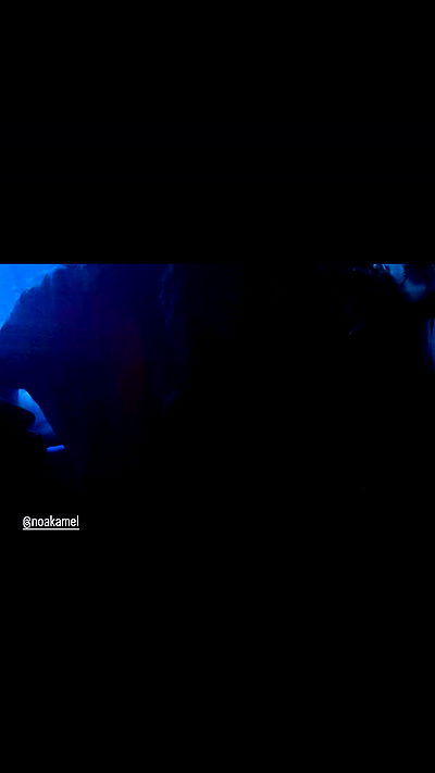 _lil_noa_ _lil_noa_ archive video