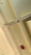 pavuk1_0 Altpins Profile Picture