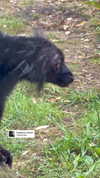 karin_orhov Altpins Profile Picture
