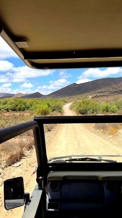 taylor.creeden taylor.creeden archive video