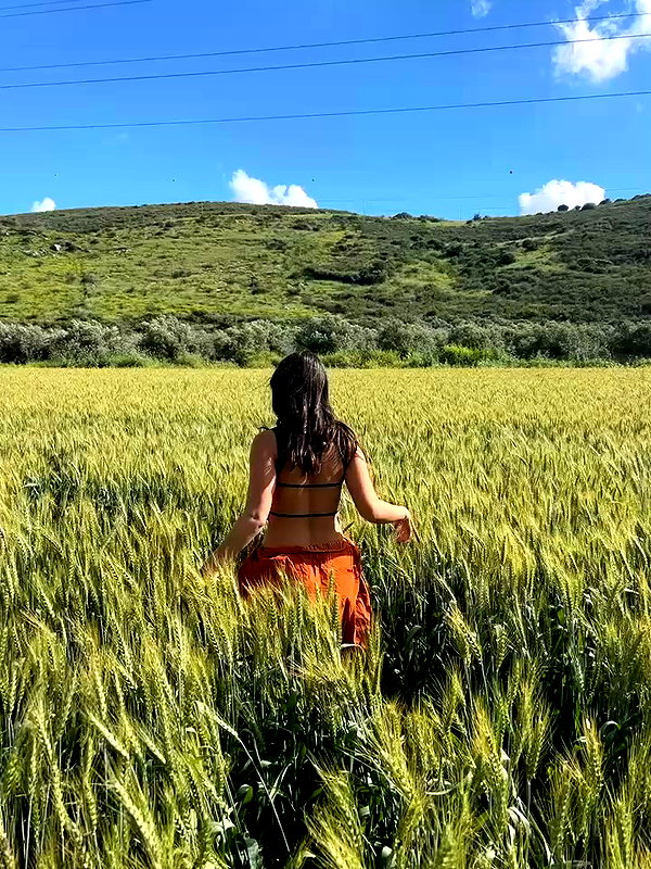 yuval_raz archive video preview