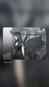my__829 Altpins Profile Picture