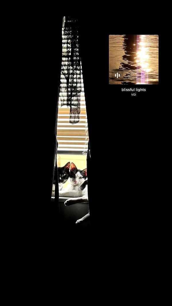 6nattynat9 archive video preview