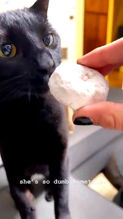 suikomuu suikomuu archive video