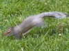 leahhalton Altpins Profile Picture