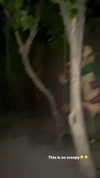 vanessa.rhd Altpins Profile Picture
