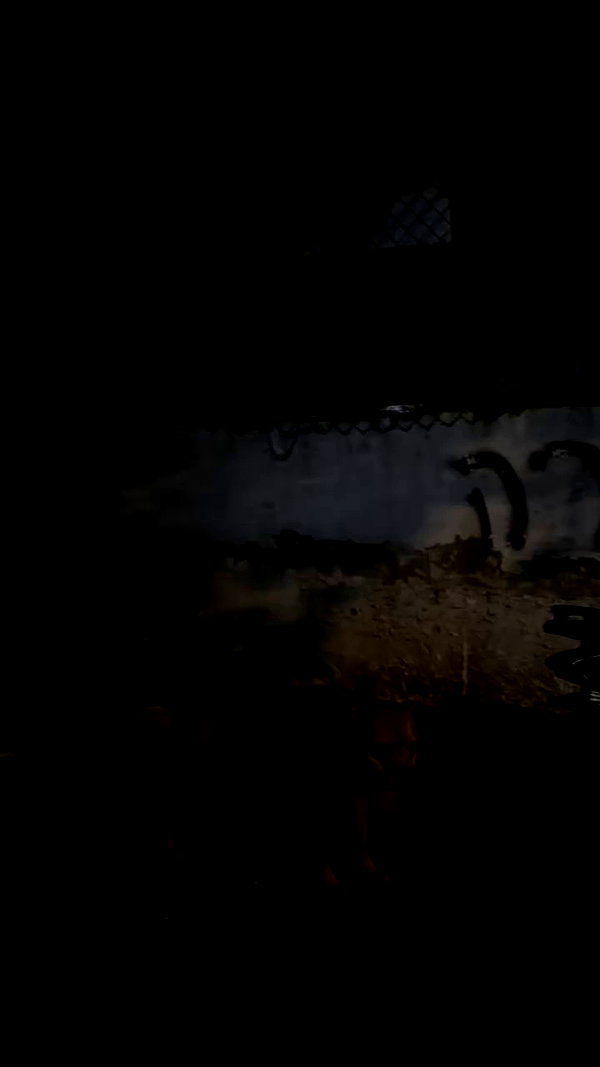 ker888nyz archive video preview