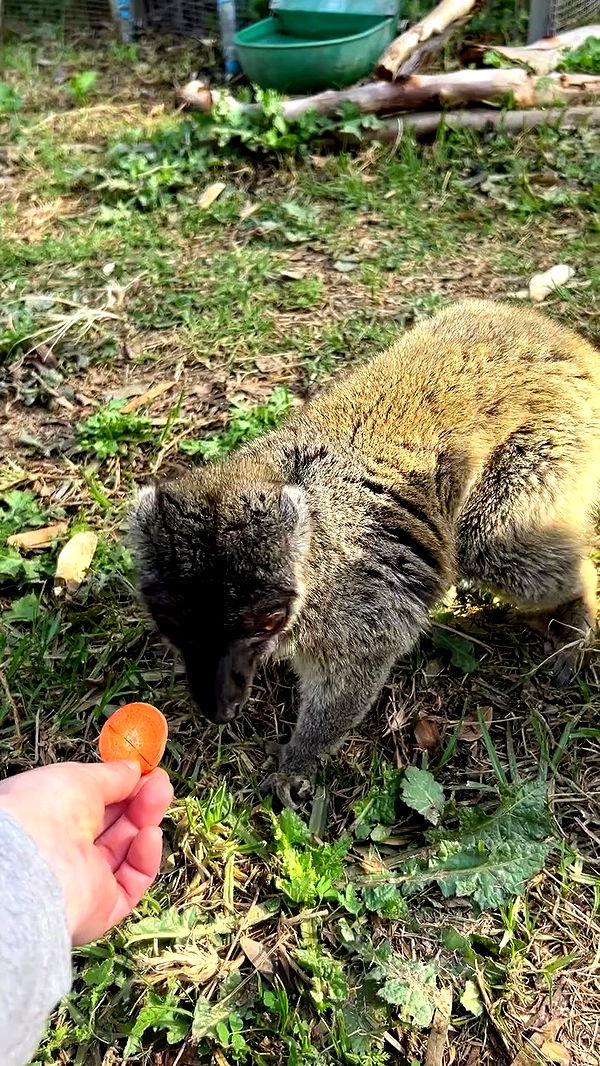 feelbetterinmysweater archive video preview