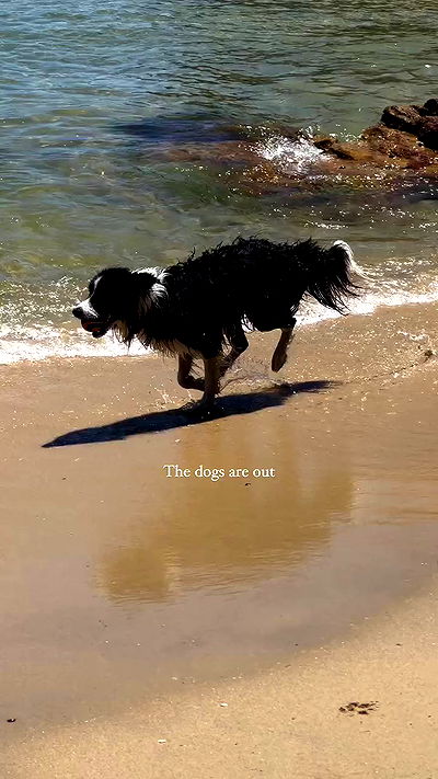 taylor.creeden taylor.creeden archive video