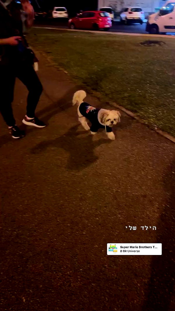 _._dianush._ archive video preview