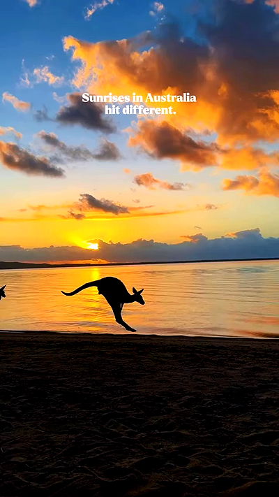 taylor.creeden taylor.creeden archive video