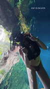 itsilanosh Altpins Profile Picture